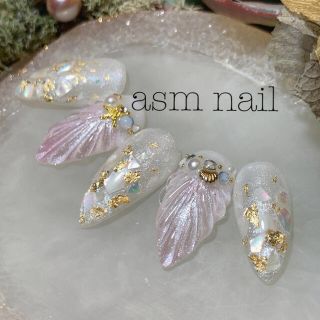 ネイルチップ ジェルネイル asmnail