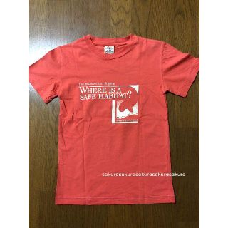 沖縄　Tシャツ　コーラルオレンジ（コーラルピンク）(Tシャツ(半袖/袖なし))