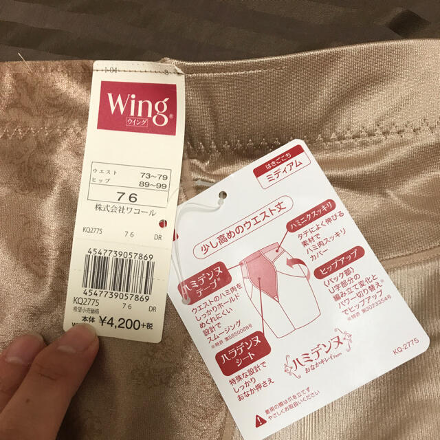 Wing(ウィング)のちぃ様専用 レディースの下着/アンダーウェア(その他)の商品写真