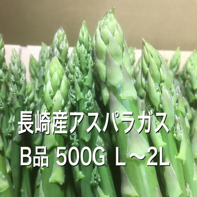 長崎産アスパラガス B品 太め 500G 食品/飲料/酒の食品(野菜)の商品写真