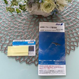 エーエヌエー(ゼンニッポンクウユ)(ANA(全日本空輸))のANA 株主割引券　１枚＋　ANAグループ優待券　セット(その他)