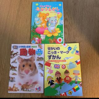 せかいのこっき・マークずかん　ワンダーランド(絵本/児童書)