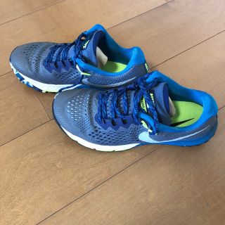 ナイキ(NIKE)のナイキ　テラカイガー4  25.5センチ(シューズ)