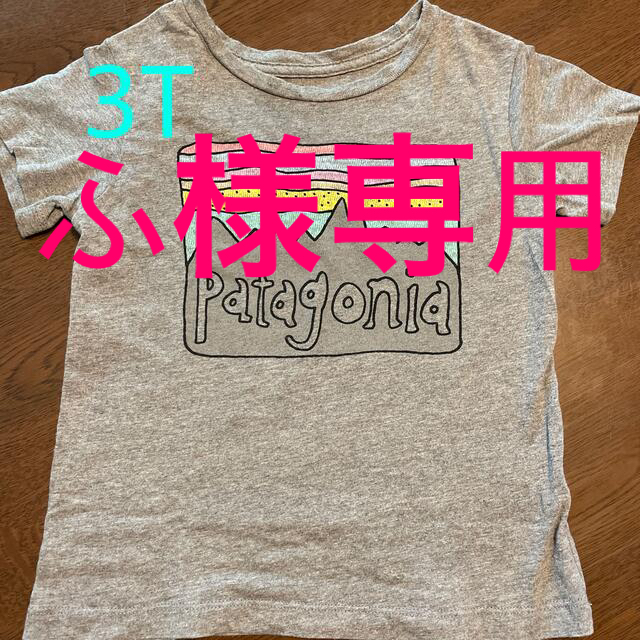 patagonia(パタゴニア)のパタゴニア  Tシャツ 3T キッズ/ベビー/マタニティのキッズ服男の子用(90cm~)(Tシャツ/カットソー)の商品写真