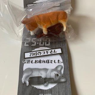 アフター5の動物たち(その他)