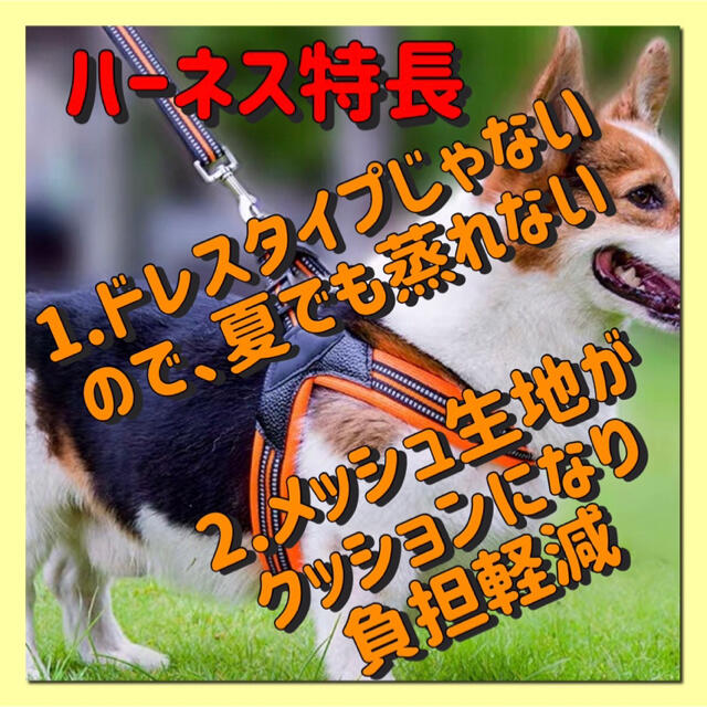 【２点セット】Ｌ大型犬用高級タイプハーネス＆リード　黒＆橙 その他のペット用品(犬)の商品写真