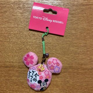 ディズニー(Disney)のディズニーランド　合格祈願ねつけ(キャラクターグッズ)