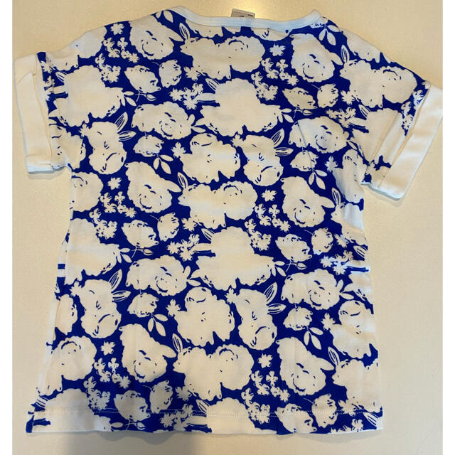 PETIT BATEAU(プチバトー)のプチバトー　Tシャツ　サイズ110 キッズ/ベビー/マタニティのキッズ服女の子用(90cm~)(Tシャツ/カットソー)の商品写真