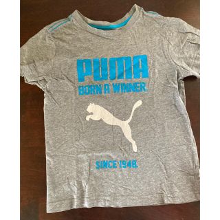 プーマ(PUMA)のTシャツ　PUMA 120cm(Tシャツ/カットソー)