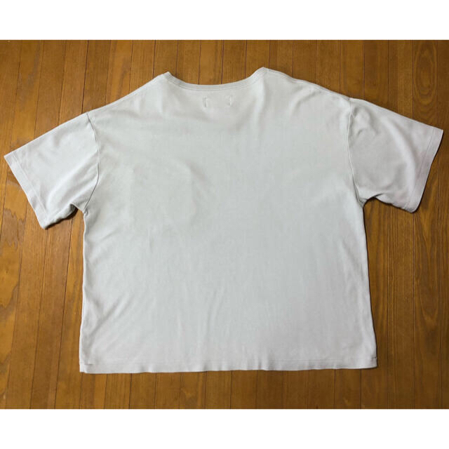 GYMPHLEX(ジムフレックス)のGymphlex  Tシャツ　グレーベージュ　ジムフレックス メンズのトップス(Tシャツ/カットソー(半袖/袖なし))の商品写真