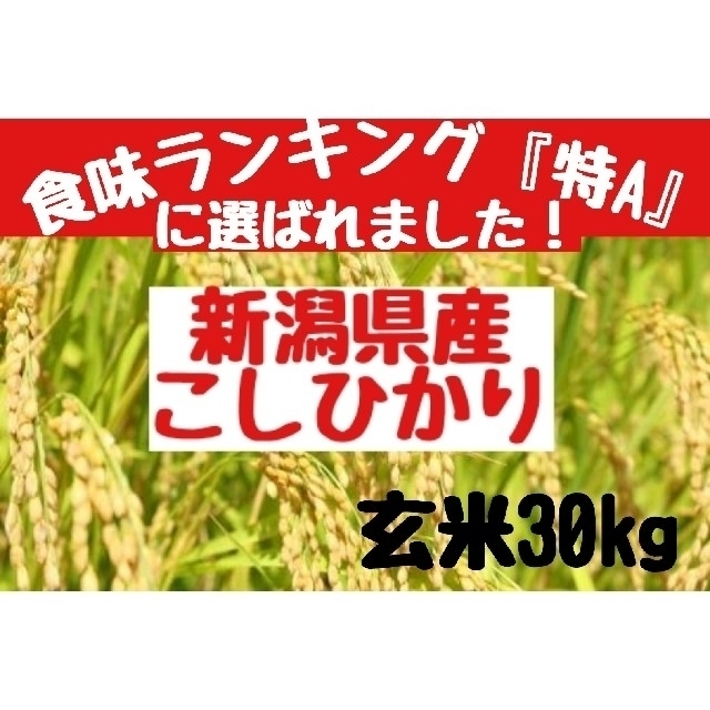 新潟県産コシヒカリ精米27㎏(令和2年産)　最高