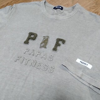 パパス　papas　半袖　Tシャツ　M　ブランド(Tシャツ/カットソー(半袖/袖なし))