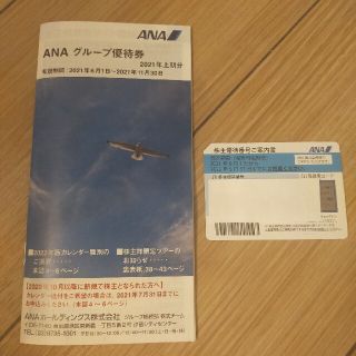 エーエヌエー(ゼンニッポンクウユ)(ANA(全日本空輸))のANA 全日空 株主優待券　1枚　2022/5/31まで　グループ優待券付(その他)