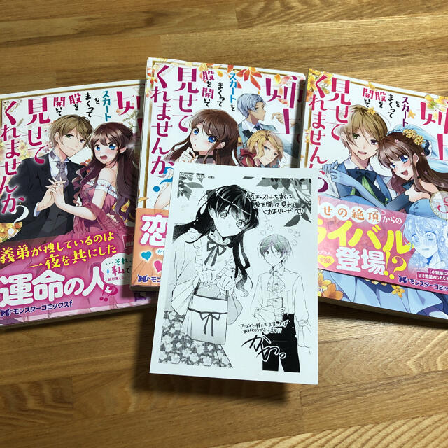 姉上。スカートをまくって股を開いて見せてくれませんか? エンタメ/ホビーの漫画(少女漫画)の商品写真