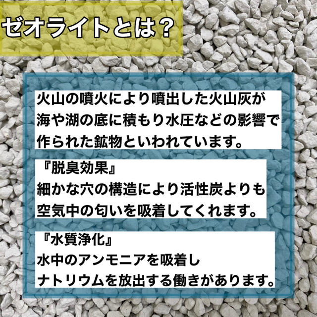 粒状ゼオライト 1l 小粒 多肉植物 サボテン 観葉植物 土 魂根植物の通販 By 庭知 ラクマ