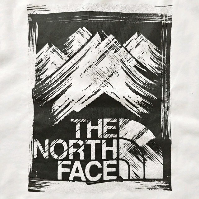 THE NORTH FACE(ザノースフェイス)の【在庫1点】【海外限定】TNF メンズ WHITE XXLサイズ メンズのトップス(Tシャツ/カットソー(半袖/袖なし))の商品写真