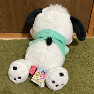 サンリオ(サンリオ)のポチャッコ　ぬいぐるみ(ぬいぐるみ)