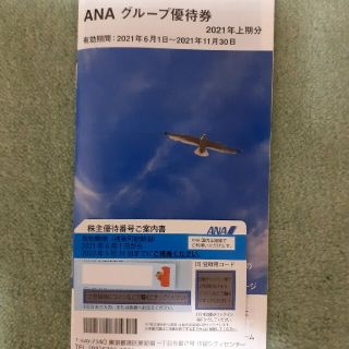 ANA株主優待券1枚+優待冊子(その他)