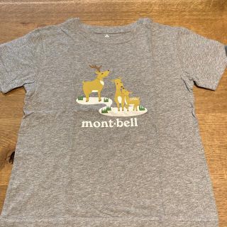 モンベル(mont bell)のmont-bell キッズ140サイズ(Tシャツ/カットソー)