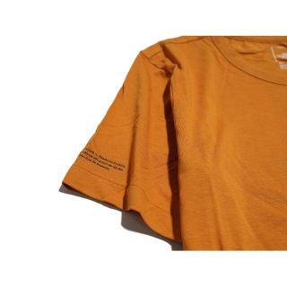 ノースフェイス★L HIMALAYAN BOTTLE Tシャツ 海外限定