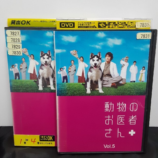 動物のお医者さん DVD 全5巻 全巻セット TVドラマ 吉沢悠 和久井映見