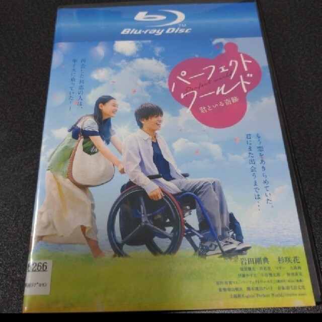 パーフェクトワールド　君といる奇跡映画版 Blu-ray  レンタル エンタメ/ホビーのDVD/ブルーレイ(日本映画)の商品写真