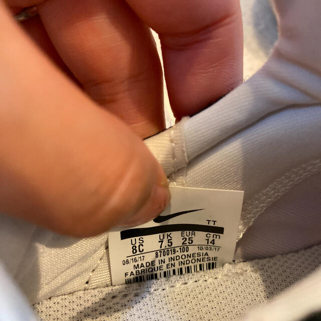 NIKE(ナイキ)のたいくん様専用　ナイキ　エクストリーム　 キッズ/ベビー/マタニティのベビー靴/シューズ(~14cm)(スニーカー)の商品写真