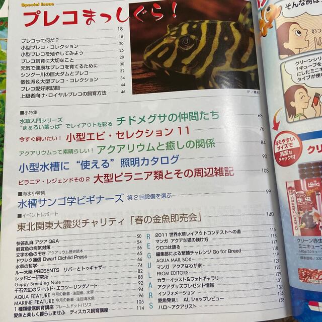 kyousuke様専用 月刊 AQUA LIFE (アクアライフ) 5月06月号 エンタメ/ホビーの雑誌(趣味/スポーツ)の商品写真