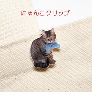 ☆☆☆ ひとみ 様 専用 ☆☆☆ ハンドメイド☆にゃんこクリップ☆キジトラさん(チャーム)