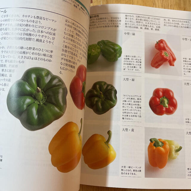 花図鑑 野菜＋果物 エンタメ/ホビーの本(趣味/スポーツ/実用)の商品写真