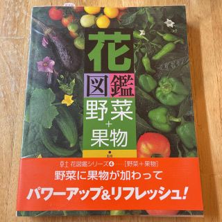 花図鑑 野菜＋果物(趣味/スポーツ/実用)