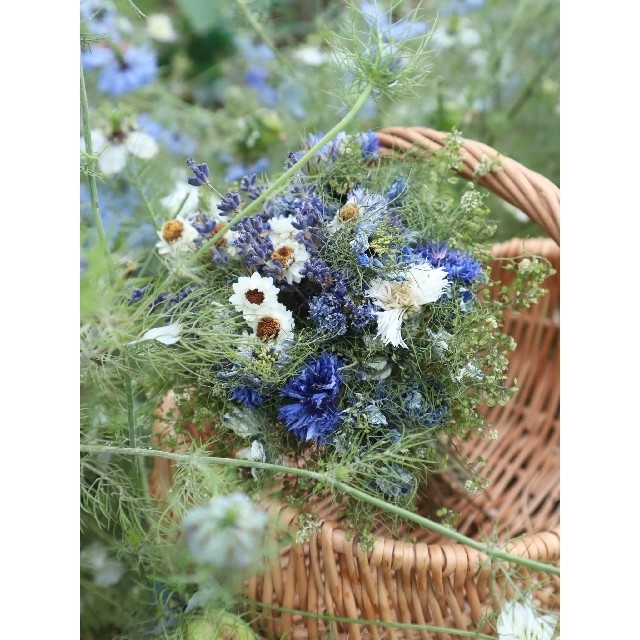 ドライフラワーのある暮らし雨上がりの畑より❁初夏の花ニゲラとラベンダーのブーケ。ドライフラワースワッグ