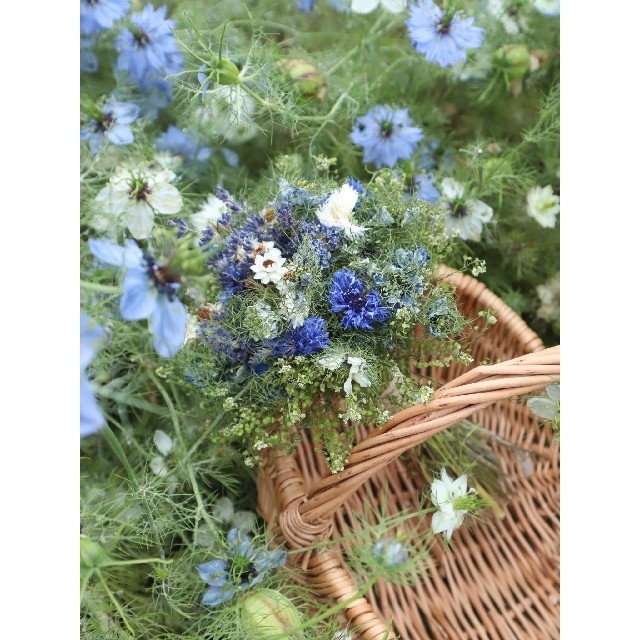 雨上がりの畑より❁初夏の花ニゲラとラベンダーのブーケ。ドライフラワースワッグ ハンドメイドのフラワー/ガーデン(ドライフラワー)の商品写真