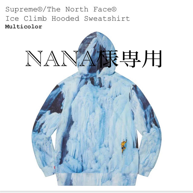 Supreme  Ice Climb Hooded Sweatshirt