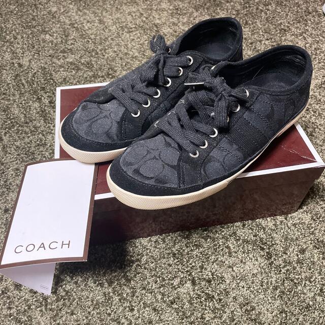 COACH(コーチ)のCOACH コーチ　スニーカー  メンズの靴/シューズ(スニーカー)の商品写真