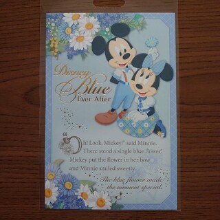 ディズニー(Disney)のブルーエバーアフター　ポストカード　ディズニー(印刷物)