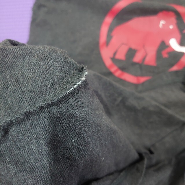 Mammut(マムート)のMAMMUT　ロンＴ メンズのトップス(Tシャツ/カットソー(七分/長袖))の商品写真