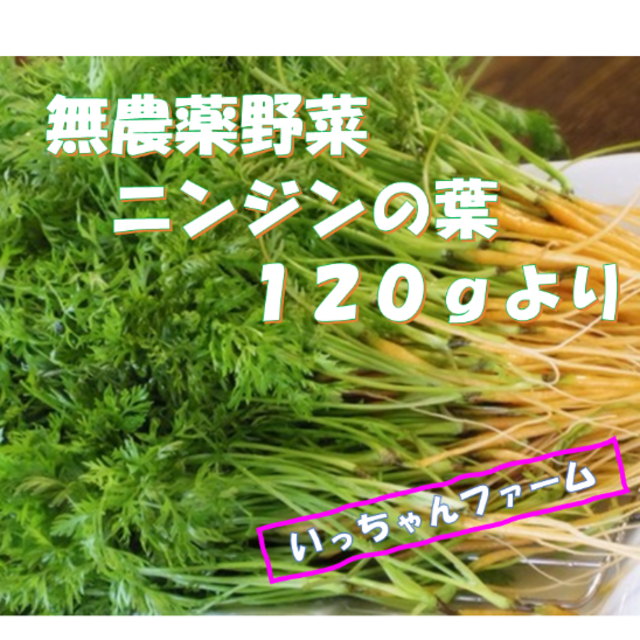 安全・安心野菜　ニンジンの葉（間引きニンジン）　１２０ｇより 食品/飲料/酒の食品(野菜)の商品写真