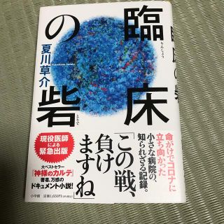 臨床の砦(文学/小説)