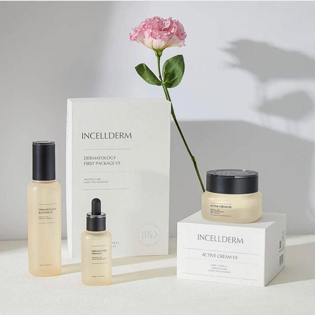 INCELLDERM インセルダム　リニューアル 最新版　3点セット