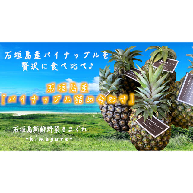 採れたて新鮮！石垣島産「パイナップル詰め合わせ」 食品/飲料/酒の食品(フルーツ)の商品写真