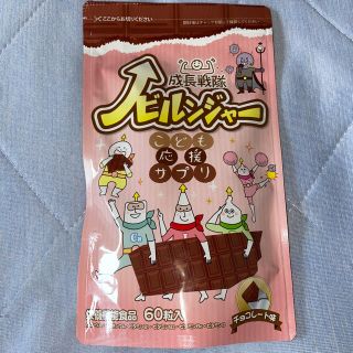 ノビルンジャー　チョコレート味　2か月前分(その他)