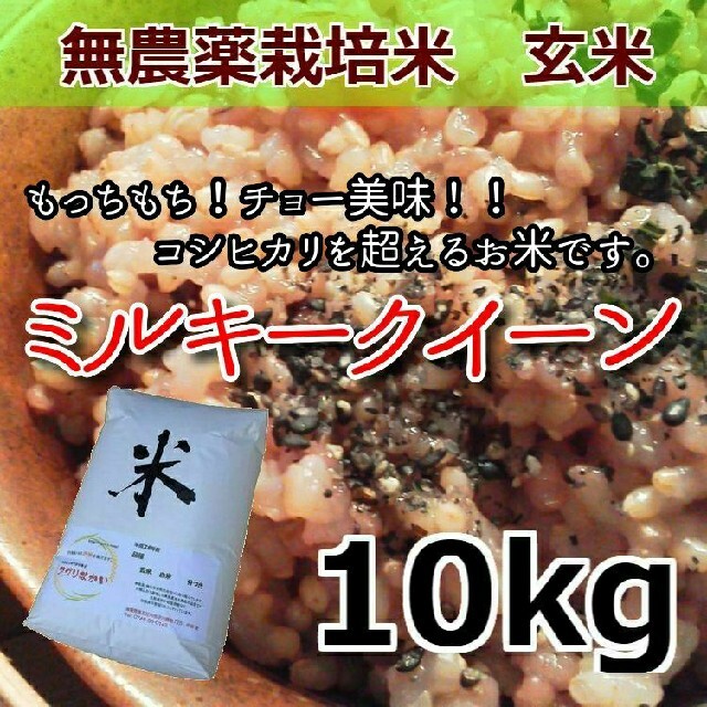 もっちもち一番人気の令和2年産 美味しいお米 無農薬栽培米 ミルキークイーン 玄米10kg