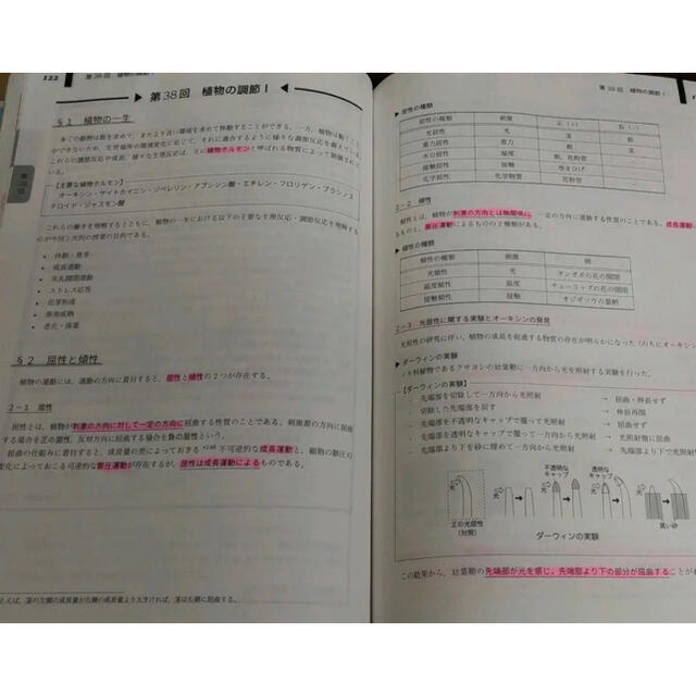 鉄緑会　李先生による生物基礎講座講義ノート集　全セット　駿台　河合塾 　東進