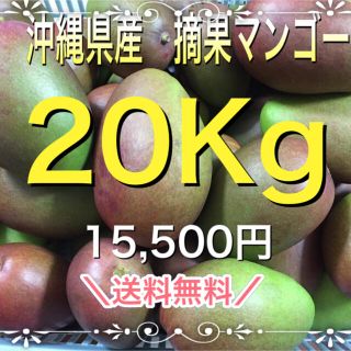 沖縄県産摘果マンゴー20Kg (フルーツ)