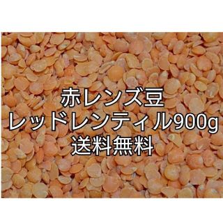 レッドレンティル900g/Red Lentil・赤レンズ豆・乾燥豆(米/穀物)