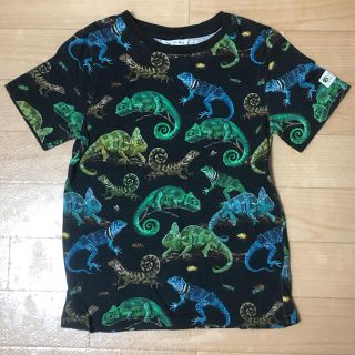 エイチアンドエイチ(H&H)のH&M  NATHALIE LÉTÉ キッズ　Tシャツ　カメレオン　110(Tシャツ/カットソー)