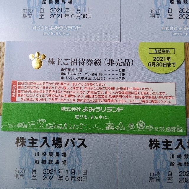 よみうりランド　株主優待 チケットの施設利用券(遊園地/テーマパーク)の商品写真