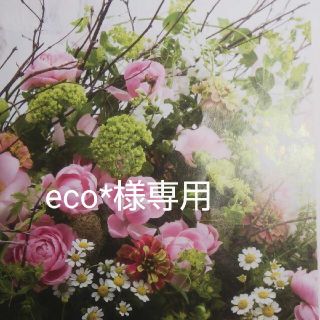 eco*様専用のお品(その他)