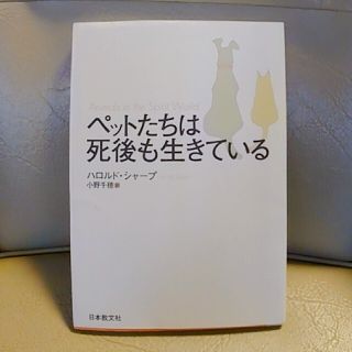 ペットたちは死後も生きている(文学/小説)